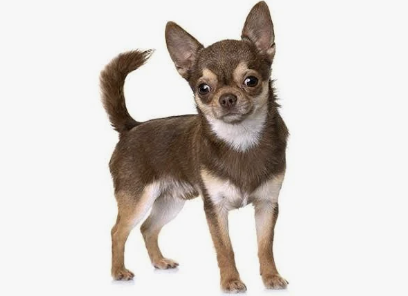 Health Affiliates Maine!! gallery image